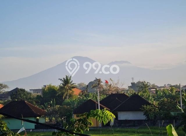 Rumah Asri di Canggu, 5 KM, Lingkungan Strategis, Luas 250m² Bangunan 400m² Rumah Asri di Canggu, 5 KM, Lingkungan Strategis, Luas 250m² Bangunan 400m²