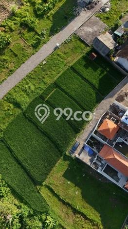 Tanah Area Potensial Kawasan , Luas 125m2m², Akses ke Fasilitas Umum Tanah Area Potensial Kawasan , Luas 125m2m², Akses ke Fasilitas Umum