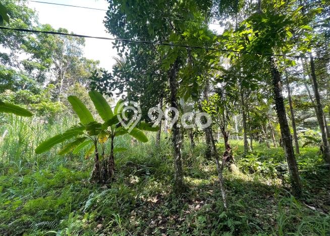 Jual Tanah di Ubud, Luas 2890m2m², Akses Strategis Jual Tanah di Ubud, Luas 2890m2m², Akses Strategis