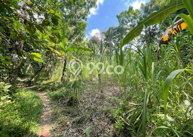 Jual Tanah di Ubud, Luas 2890m2m², Akses Strategis Jual Tanah di Ubud, Luas 2890m2m², Akses Strategis