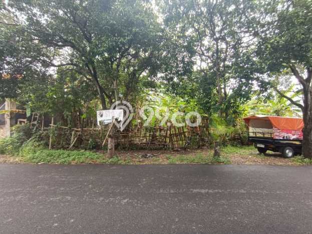 Tanah Strategis Kawasan Renon, Luas 500m², Disewakan Tanah Strategis Kawasan Renon, Luas 500m², Disewakan