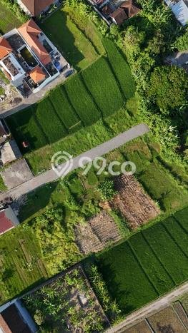 Tanah Area Potensial Kawasan , Luas 125m2m², Akses ke Fasilitas Umum Tanah Area Potensial Kawasan , Luas 125m2m², Akses ke Fasilitas Umum