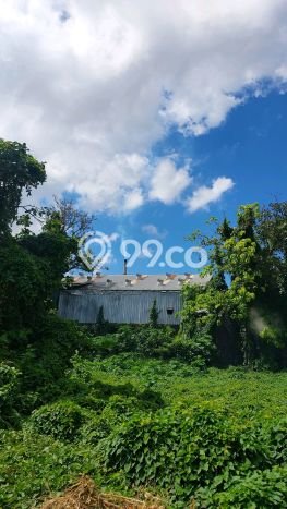 Tanah Disewa Strategis di Badung Luas 1485m2 Tanah Disewa Strategis di Badung Luas 1485m2