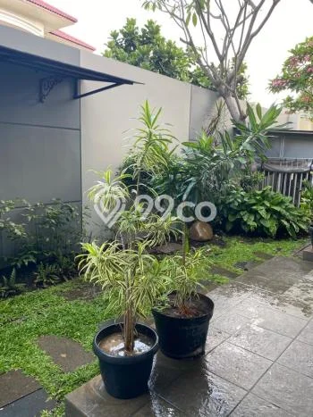 Rumah Mewah Dijual LT 626m2 di Gajah Mungkur, Semarang Rumah Mewah Dijual LT 626m2 di Gajah Mungkur, Semarang