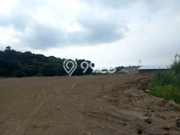 Tanah Dijual Lokasi Ngaliyan, Semarang Luas 2000m2 Legalitas Aman Tanah Dijual Lokasi Ngaliyan, Semarang Luas 2000m2 Legalitas Aman