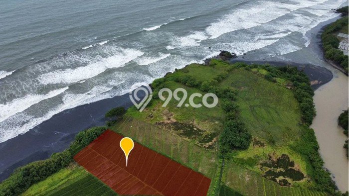 Lahan untuk Dijual di Tabanan Tabanan Luas 7900m2 Lahan untuk Dijual di Tabanan Tabanan Luas 7900m2