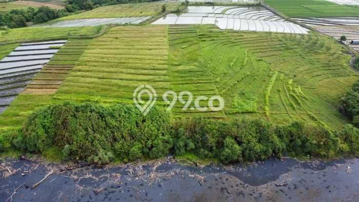 Lahan untuk Dijual di Tabanan Tabanan Luas 7900m2 Lahan untuk Dijual di Tabanan Tabanan Luas 7900m2
