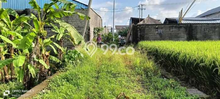 Tanah Area Berkembang Kawasan Gianyar, Luas 1700m2m², Kawasan Asri, Dekat Gianyar, Gianyar, Gianyar Tanah Area Berkembang Kawasan Gianyar, Luas 1700m2m², Kawasan Asri, Dekat Gianyar, Gianyar, Gianyar