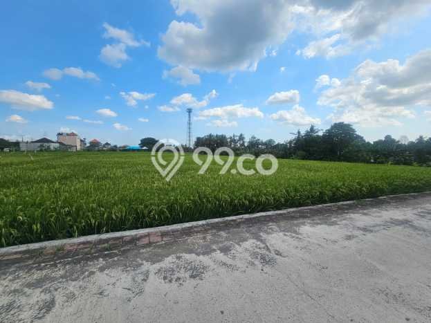 Tanah Lokasi Strategis di , Luas 131000m2m², Akses ke Fasilitas Umum, Akses Tabanan, Tabanan Tanah Lokasi Strategis di , Luas 131000m2m², Akses ke Fasilitas Umum, Akses Tabanan, Tabanan