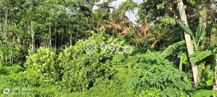 Tanah Area Berkembang Kawasan Gianyar, Luas 1700m2m², Kawasan Asri, Dekat Gianyar, Gianyar, Gianyar Tanah Area Berkembang Kawasan Gianyar, Luas 1700m2m², Kawasan Asri, Dekat Gianyar, Gianyar, Gianyar