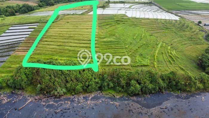 Lahan untuk Dijual di Tabanan Tabanan Luas 7900m2 Lahan untuk Dijual di Tabanan Tabanan Luas 7900m2
