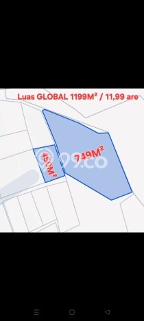 Vila Strategis Kawasan Baturiti, Dimensi 1199m2m², Pemandangan Indah sekitar Vila Strategis Kawasan Baturiti, Dimensi 1199m2m², Pemandangan Indah sekitar