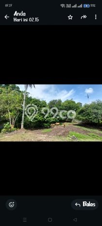 Tanah Kavling Dijual di Beraban, Tabanan dengan Luas Tanah 800m2 Tanah Kavling Dijual di Beraban, Tabanan dengan Luas Tanah 800m2