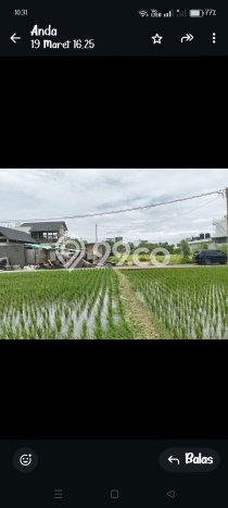 Dijual Tanah Lokasi Kedungu, Tabanan Seluas 259m2 Dijual Tanah Lokasi Kedungu, Tabanan Seluas 259m2
