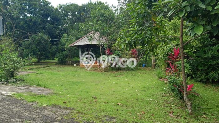 Best Deal Hunian Mewah Ideal dan Luas di Gunung Pati, Semarang Best Deal Hunian Mewah Ideal dan Luas di Gunung Pati, Semarang