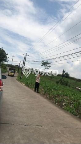 Lahan untuk Dijual Lokasi Ngaliyan, Semarang Luas 10765m2 SHM Lahan untuk Dijual Lokasi Ngaliyan, Semarang Luas 10765m2 SHM