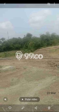 Tanah Strategis Dijual di Mranggen Demak 1640m2 Tanah Strategis Dijual di Mranggen Demak 1640m2