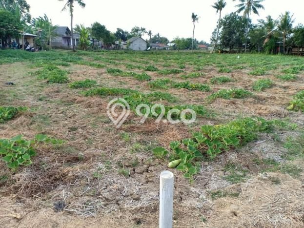 Kavling Tanah untuk Dijual di Bekasi, Bekasi, Luas 2000m2 Kavling Tanah untuk Dijual di Bekasi, Bekasi, Luas 2000m2