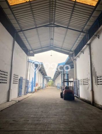 Pabrik Bagus Dijual di Pasar Kemis Tangerang Lokasi Strategis Cocok untuk Kembangkan Bisnis Pabrik Bagus Dijual di Pasar Kemis Tangerang Lokasi Strategis Cocok untuk Kembangkan Bisnis