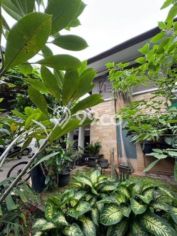Rumah Elit LB 300m2 Siap Pakai Desain Elegan di BSD City, Tangerang Rumah Elit LB 300m2 Siap Pakai Desain Elegan di BSD City, Tangerang