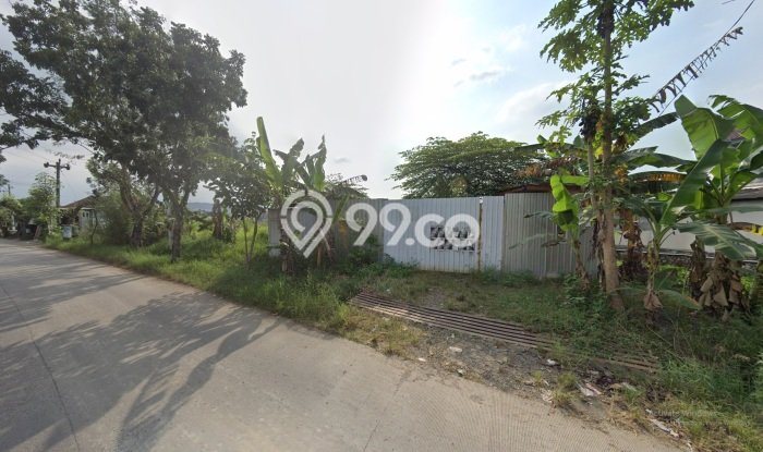 Tanah Investasi Disewakan di Tembalang, Semarang, Luas 5000m2 Tanah Investasi Disewakan di Tembalang, Semarang, Luas 5000m2