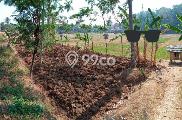 Lahan untuk Dijual Lokasi Ungaran Timur, Semarang Luas 455m2 SHM Lahan untuk Dijual Lokasi Ungaran Timur, Semarang Luas 455m2 SHM