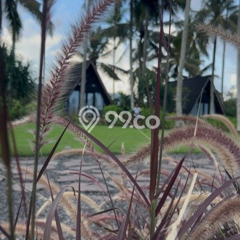 DIJUAL! Vila Kawasan Selemadeg, Area 11410m2m², Lokasi Premium DIJUAL! Vila Kawasan Selemadeg, Area 11410m2m², Lokasi Premium