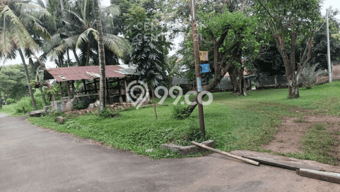 Rumah Berkualitas area Kidang Cipare, Serang, LT 1980m² LB 500m² - HARGA NEGO! Rumah Berkualitas area Kidang Cipare, Serang, LT 1980m² LB 500m² - HARGA NEGO!