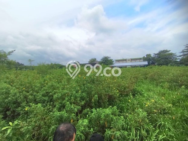 Tanah Dijual di Tangerang Seluas 1381m2 Strategis Tanah Dijual di Tangerang Seluas 1381m2 Strategis
