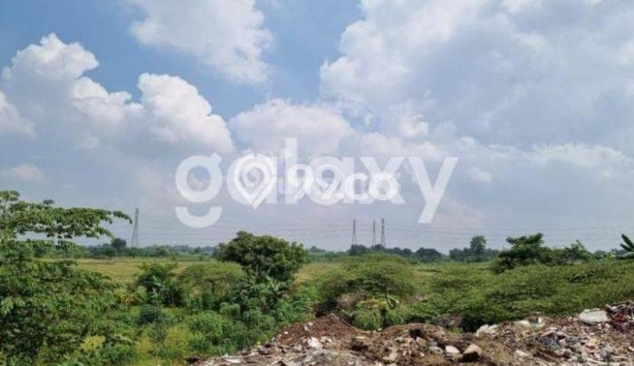 Tanah untuk Dijual Lokasi Driyorejo, Gresik Luas 23600m2 SHM Tanah untuk Dijual Lokasi Driyorejo, Gresik Luas 23600m2 SHM