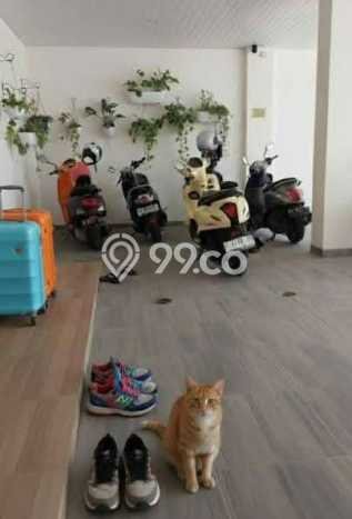 Unit Kost Dijual di Kawasan Tembalang Semarang dengan 0 KT Unit Kost Dijual di Kawasan Tembalang Semarang dengan 0 KT