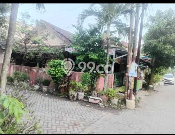 For Sale Rumah 2 Kamar Lokasi Strategis Bagus dan Strategis di Pedurungan For Sale Rumah 2 Kamar Lokasi Strategis Bagus dan Strategis di Pedurungan