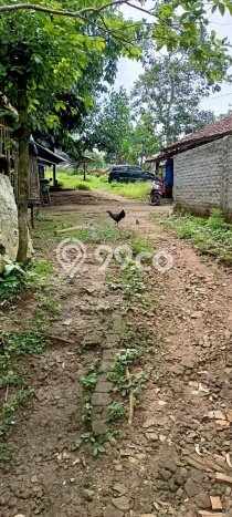 Tanah Kavling untuk Dijual di Tenjo Bogor 381m2 Tanah Kavling untuk Dijual di Tenjo Bogor 381m2