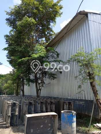 Unit Gudang Disewa Lokasi Cikupa, Tangerang Spesifikasi Luas Bangunan 600m2 Unit Gudang Disewa Lokasi Cikupa, Tangerang Spesifikasi Luas Bangunan 600m2