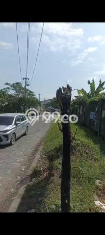 Tanah Kavling untuk Dijual di Semarang Barat Semarang 9647m2 Tanah Kavling untuk Dijual di Semarang Barat Semarang 9647m2