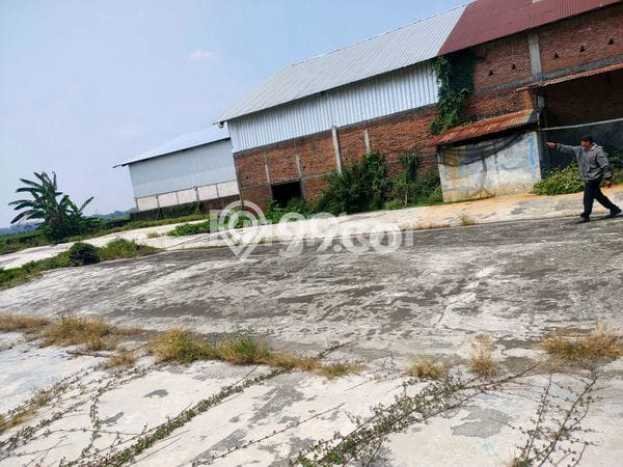 Gudang Usaha Dijual di Demak Demak LT 7022m2 & LB 500m2 Gudang Usaha Dijual di Demak Demak LT 7022m2 & LB 500m2