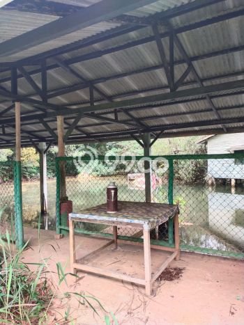 Tanah Kavling Dijual di Tanjung Pinang Timur, Tanjung Pinang dengan Luas Tanah 65000m2 Tanah Kavling Dijual di Tanjung Pinang Timur, Tanjung Pinang dengan Luas Tanah 65000m2