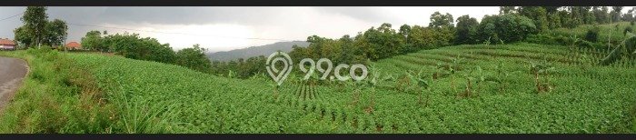 Kavling Tanah di Cilengkrang Dijual Luas 8520m2 Legalitas SHM Kavling Tanah di Cilengkrang Dijual Luas 8520m2 Legalitas SHM