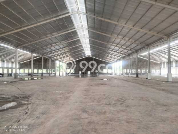 Area Strategis! Disewakan Gudang Lokasi Jepara, Jepara Cocok untuk Bisnis Area Strategis! Disewakan Gudang Lokasi Jepara, Jepara Cocok untuk Bisnis