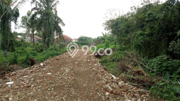 Dijual Tanah di Bogor Barat Bogor Luas 5900m2 SHM Dijual Tanah di Bogor Barat Bogor Luas 5900m2 SHM