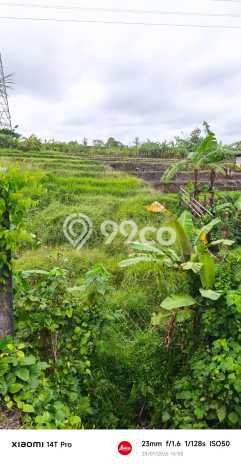 Lahan Kosong Dijual di Badung dengan Area 300m2 Lahan Kosong Dijual di Badung dengan Area 300m2
