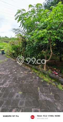 Lahan Kosong Dijual di Badung dengan Area 300m2 Lahan Kosong Dijual di Badung dengan Area 300m2