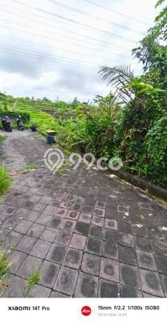 Lahan Kosong Dijual di Badung dengan Area 300m2 Lahan Kosong Dijual di Badung dengan Area 300m2