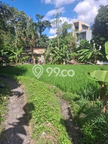 SEWA TANAH! Tanah Kawasan Umalas, Luas 1000m², Dekat Jalan Utama SEWA TANAH! Tanah Kawasan Umalas, Luas 1000m², Dekat Jalan Utama