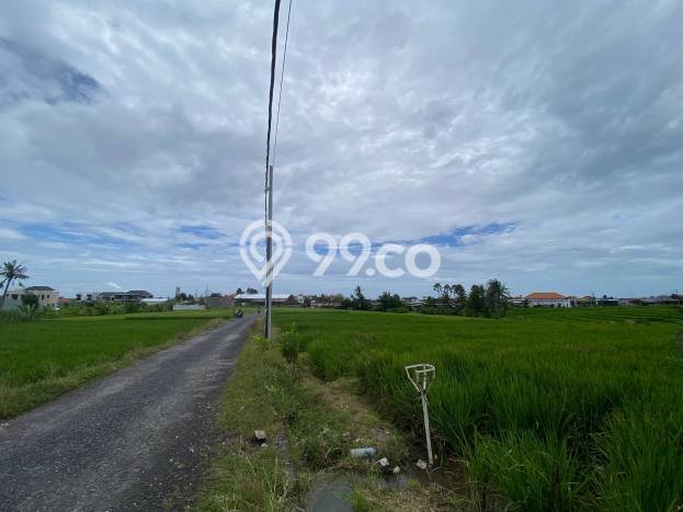 Kavling Tanah untuk Dijual di Pererenan, Badung, Luas 3600m2 Kavling Tanah untuk Dijual di Pererenan, Badung, Luas 3600m2