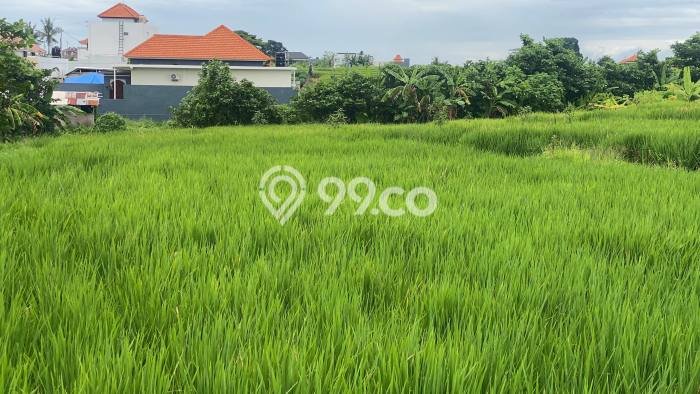 Kavling Tanah untuk Dijual di Pererenan, Badung, Luas 3600m2 Kavling Tanah untuk Dijual di Pererenan, Badung, Luas 3600m2
