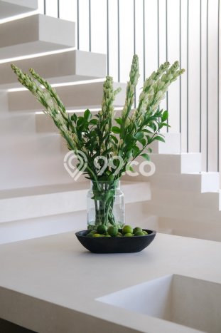 Vila Potensial Kawasan , Dimensi 256m2m², Lingkungan Nyaman untuk keluarga Vila Potensial Kawasan , Dimensi 256m2m², Lingkungan Nyaman untuk keluarga