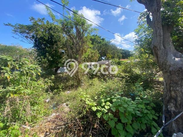 Tanah di Ungasan, Luas 500m², Tersedia untuk Rental Tanah di Ungasan, Luas 500m², Tersedia untuk Rental
