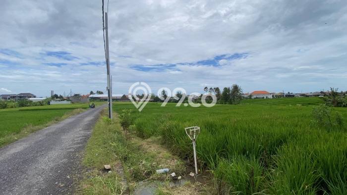 Kavling Tanah untuk Dijual di Pererenan, Badung, Luas 3600m2 Kavling Tanah untuk Dijual di Pererenan, Badung, Luas 3600m2