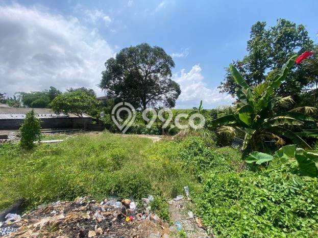 Tanah Investasi Dijual di Badung Punya Luas 600m2 Tanah Investasi Dijual di Badung Punya Luas 600m2